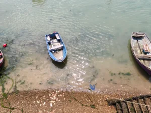 /oneplus-nord-5-camera-sample11.webp
